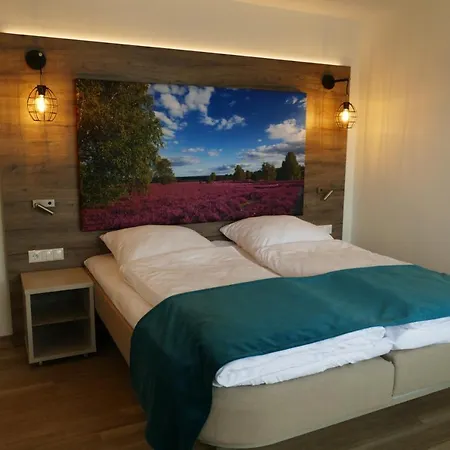 Meyn's & * 索尔陶